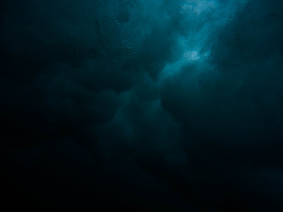 Romans noirs & mystère